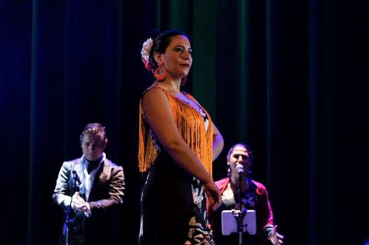 Flamenco Elqui